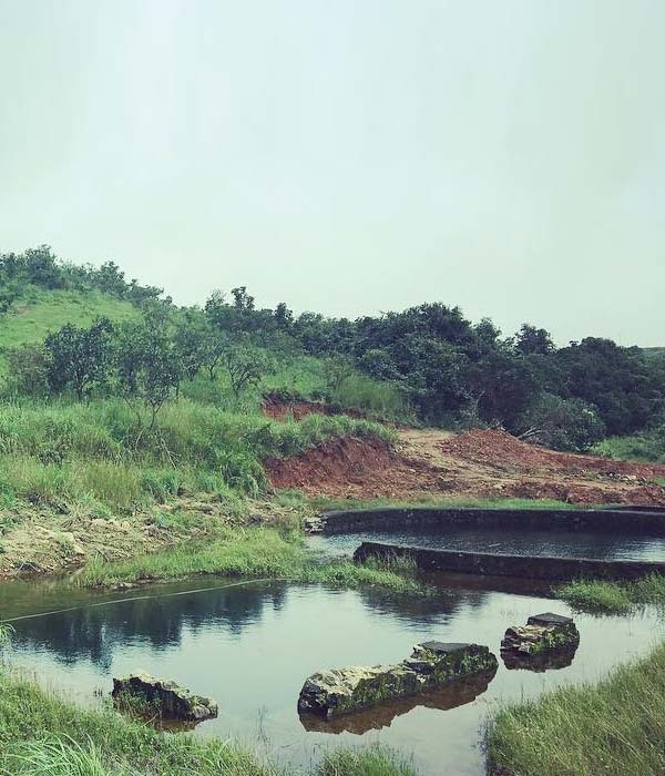 Panchalikulam-50Ec99F35B.Jpg